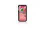 Mentos Sugar Free, Peach Mint - 21 g