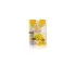 GINKU GINKGO Dried Roasted Ginkgo Nuts